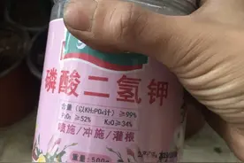 磷酸二氢钾和花多多2号，哪个肥效高又好用？别挑错了图片