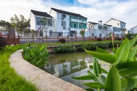 村里的夜生活能有多丰富？这些白领傍晚种菜撸猫打篮球，晚上烧烤啤酒看电影图片