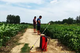 被“妖魔化”的草甘膦，对农作物和土地有副作用，还能放心使用吗图片