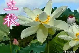 明日立秋，请记住“三不吃、三不睡、三不做”，精神饱满过秋天图片