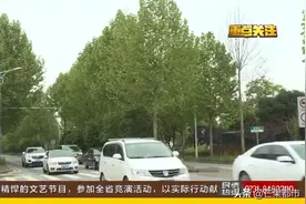 长沙首次因“扰民”大规模移树！滨河路444棵法国梧桐将搬家图片