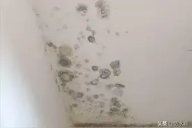 如何解决下雨时内墙渗漏水的尴尬？图片