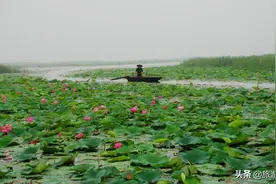 盘点山东4大天然湖泊，微山湖面积最大，你去过几处？图片