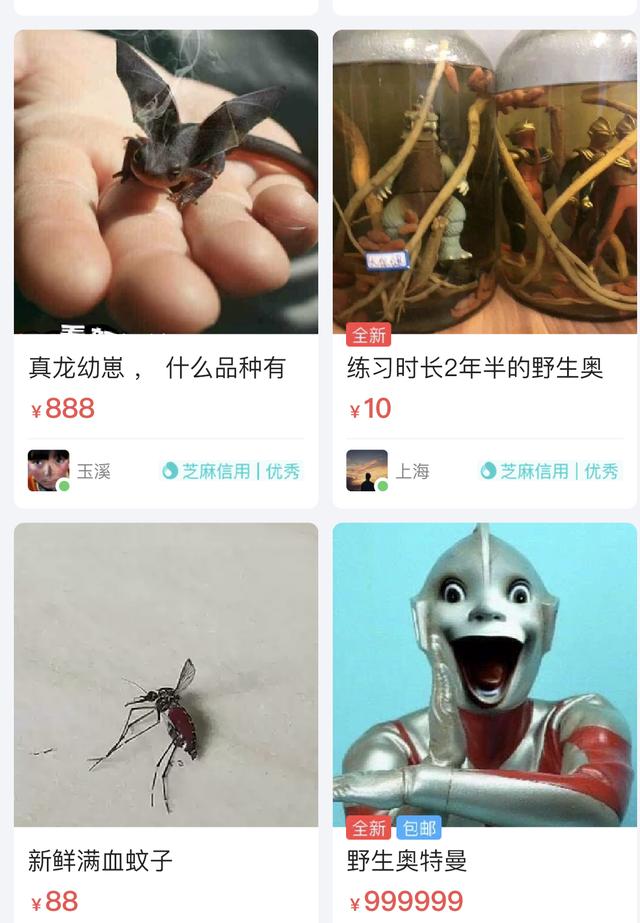 只有你想不到没有你买不到，上古神兽，野生奥特曼了解下哈哈哈哈