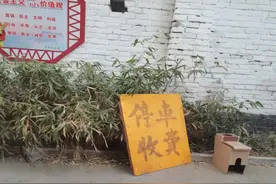 保定一小区外来车辆停车需交费？回应：可由物业和业主协商决定图片