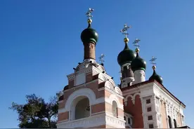 老鼠的智商图片