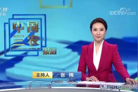 又一地方台女主持人张祎加盟央视，成《中国三农报道》首位女主播图片