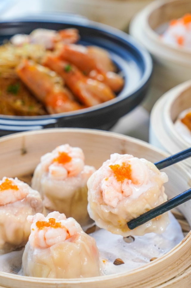 花胶与牛展能同炖吗 2026年花胶可以和牛骨一起煲汤吗