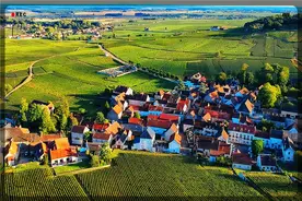 农村大量的闲散劳动力，现在办什么加工厂，能带领大家一起致富？图片