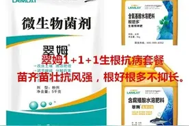 新疆高产棉田出苗水怎么滴？怎么滴效果更好？（附带出苗水方案）图片