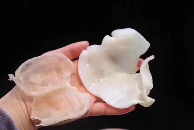 蝴蝶胶同花胶筒那种好 蝴蝶胶和白花胶的区别 蝴蝶胶同花胶筒那种好 蝴蝶胶和白花胶的区别