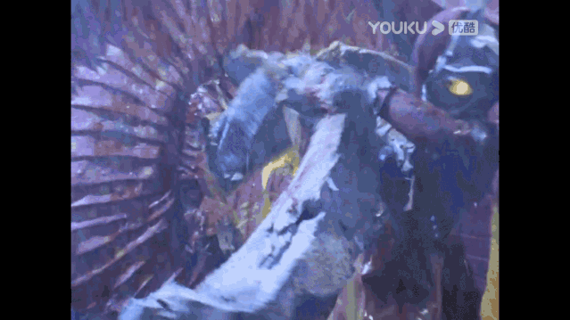 火了半个世纪的真“顶流”，没有一个人能躲过奥特曼（上）