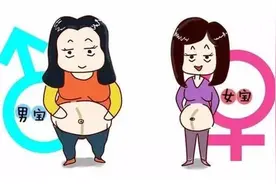 医生花式暗示胎儿性别：帮你了解医生各种暗语，提前了解宝宝性别图片