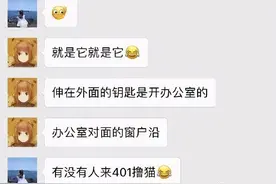 猫咪还有这种玄学，灵到让人不敢相信图片