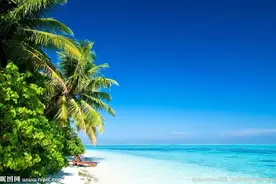 生活中感性与理性的运用图片