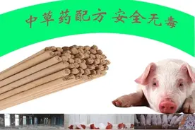 养殖场户外灭蚊神器图片