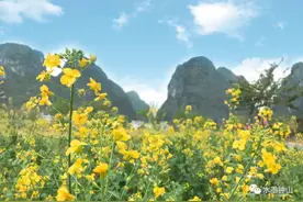三月三出游|打卡百里水墨画廊，赏最美旗袍秀！图片