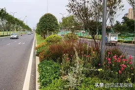 龙泉驿这条断头路打通了！这次直接通到了三环图片