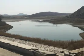 连年干旱，辽西一水库上演生态灭绝，干瘪的大鱼、龟鳖堆积在岸边图片