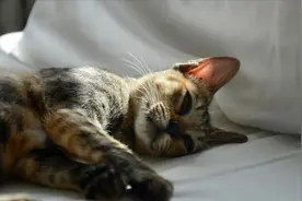 转售水电的税务处理，不再疑惑图片