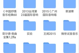 手机听无损音乐，经济而有效方案：SD卡拷贝大量无损音乐图片