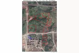 独家直击丨2021年重庆首次集中供地拍卖现场有这些看点图片