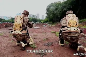 国内卫生员装备升级，单兵外骨骼防弹衣做担架，山猫救护车可空运图片
