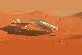 第一个登上太空的宇航员，不是加加林，而是一只狗图片