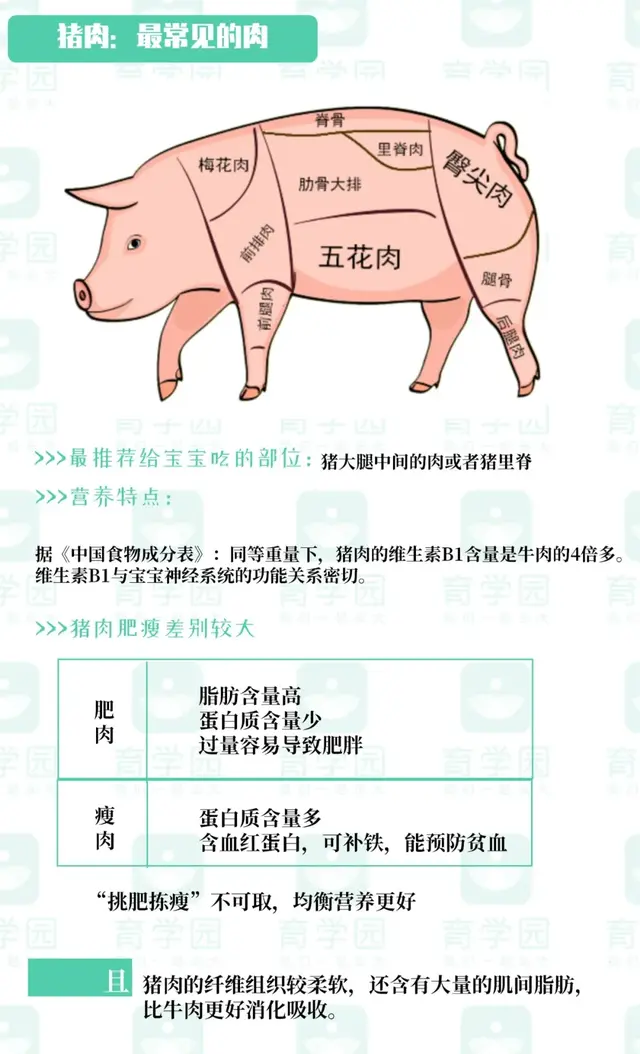 瀹濆疂澶氬ぇ鍙互鍚冭倝锛熶粈涔堣倝鏈€鏈夎惀鍏伙紵鐪嬭繖绡囧氨澶熶簡