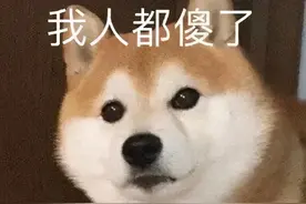 笑yue了，在班级家长群跟风的家长们也太可爱了吧图片