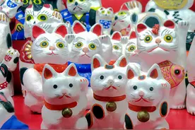 日本冈山招财猫美术馆，数百只招财猫拍到手软，是一个隐藏版景点图片