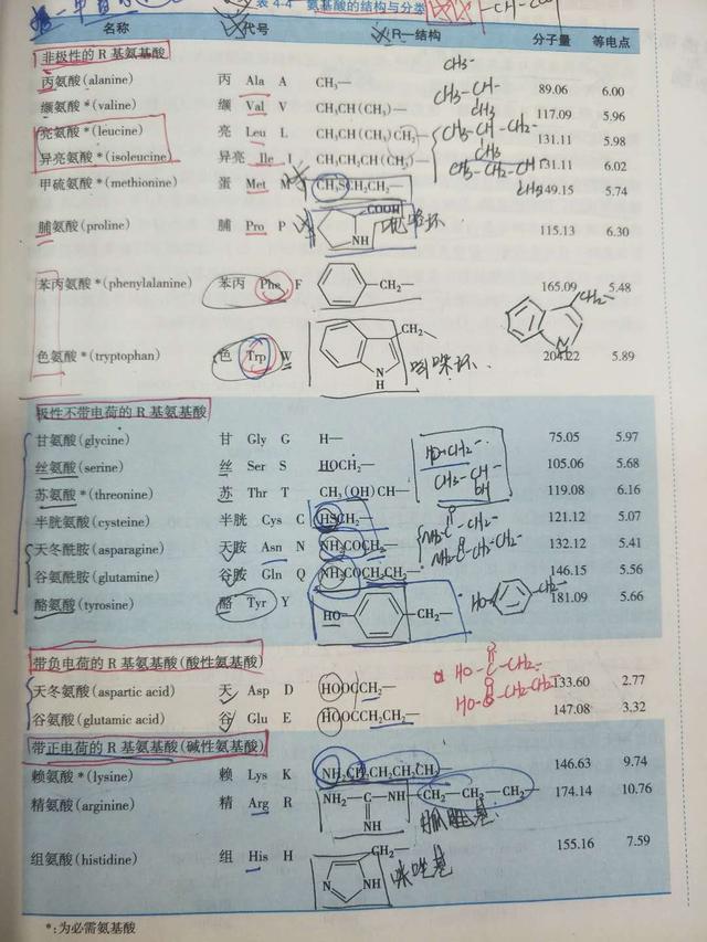 [考研必背]生物化学笔记第四章：蛋白质的化学（一）