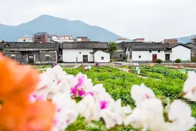 广东新兴朱所村，看似默默无闻，却出过两位省长，现古朴而美丽图片