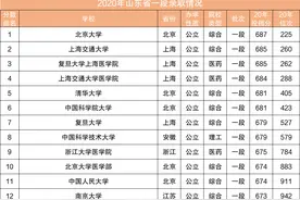 全国各高校2020年在山东省（一段）录取情况图片