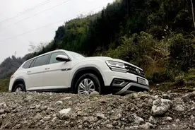 老杨做的梦(梦中囧事)图片