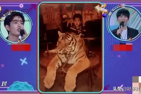 为什么说肖战是虎呢 肖战与王一博关系现在怎么样了图片