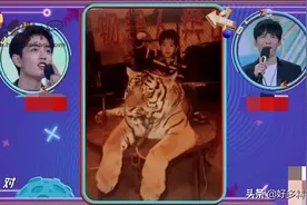 为什么说肖战是虎呢 肖战与王一博关系现在怎么样了图片