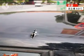 桂林高速路上惊现不明物体，车顶铁皮被刮烂！（附行车记录仪录像）图片