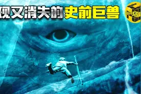 躲过了物种大灭绝的史前巨兽，却在被人类发现后，迅速消失图片