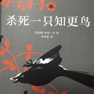 知更鸟的寓意和象征简单介绍（浅析杀死一只知更鸟中知更鸟的象征性意义指代）