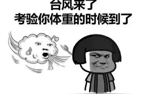 台风究竟是如何形成的？图片