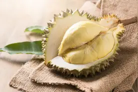 广东的榴莲壳也能吃？一起煲鸡成为清热解毒的大众菜肴图片