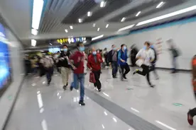 什么是铁丝？我们问了问铁丝本人！图片