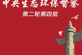 典型案例丨中国有色集团下属东方公司非法处置危险废物 违法违规建设生产图片