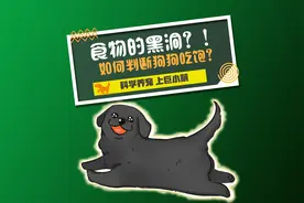 食物的黑洞？！如何判断狗狗是吃饱了 #科学养宠# #居家铲屎官#视频封面