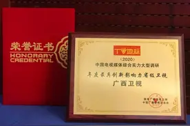 2020“TV地标”权威发布！广西卫视喜获两项大奖图片