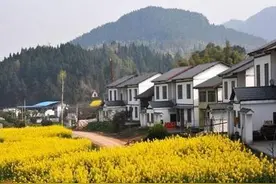 2020年宅基地可以自由买卖了？购买农村自建房要注意什么？图片