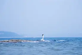 男人想你了，除了说爱你，还会有三个“过分”要求图片