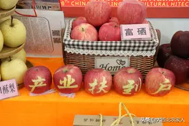 陕西杨凌农业农高会红富士苹果新品种展示图片