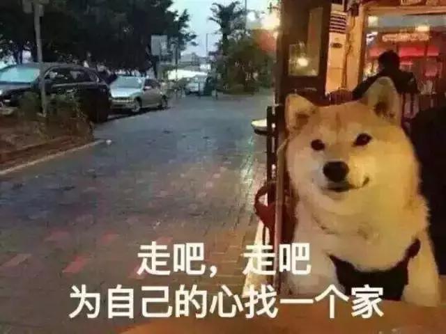 三吋日光 三吋日光是什么意思(图1) 三吋日光 三吋日光是什么意思(图1)